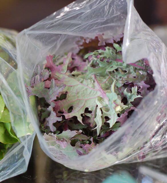 fresh kale in plastic bags from the farmers market.