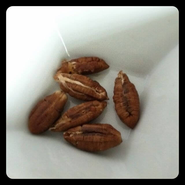 Date Recipes from 100 Days of Real Food