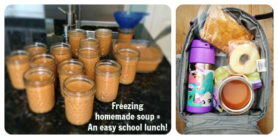 Best Kids Thermos for School Lunches & On the Go