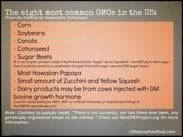 GMO Crop Picture