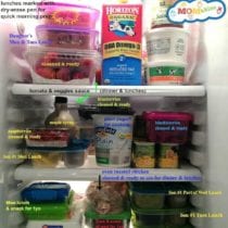 Lunches for Kids with Momables (including recipes!)