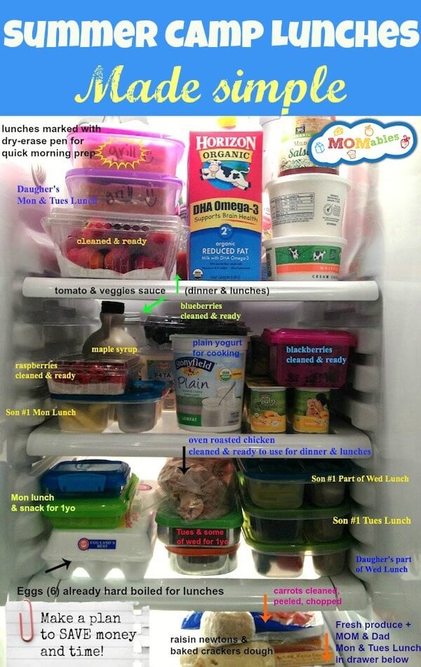 SumerCamp-Fridge-made-simple