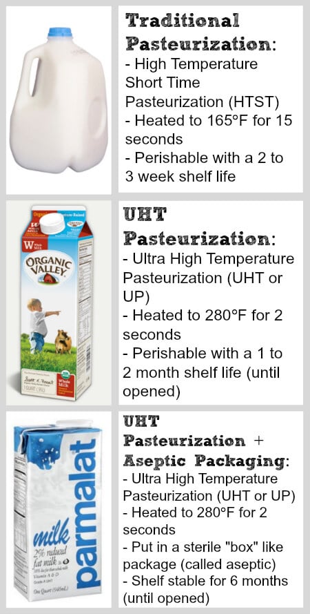 Is Your Milk Not Frothing? Here Are 7 Reasons With Solutions