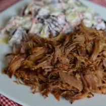 The Best Pulled Pork in a Crock Pot!