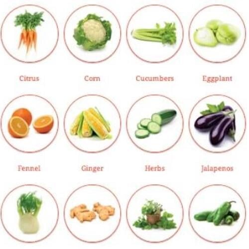 Cook smart prep cooking diagram