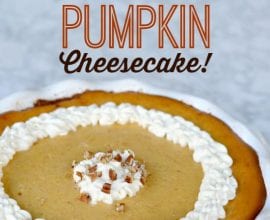 Pumpkin Cheesecake on 100 Days of #RealFood