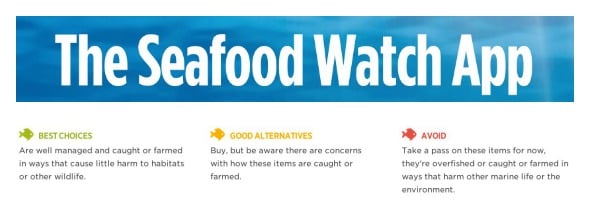 Seafood Watch App on 100 Days of #RealFood