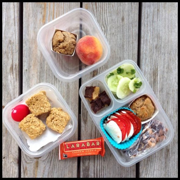 Lunch and Snack Ideas for Camp on 100 Days of #RealFood Lunch and Snack Ideas for Camp on 100 Days of #RealFood