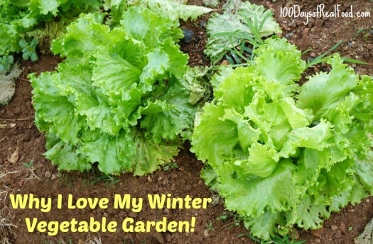 Why I love my winter vegetable garden on 100 Days of Real Food