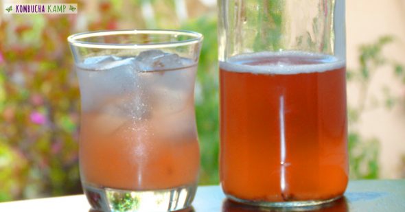 Kombucha + Kraut are Real Food! on 100 Days of Real Food