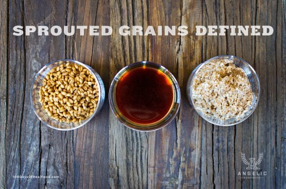 Sprouted Grains Defined on 100 Days of Real Food