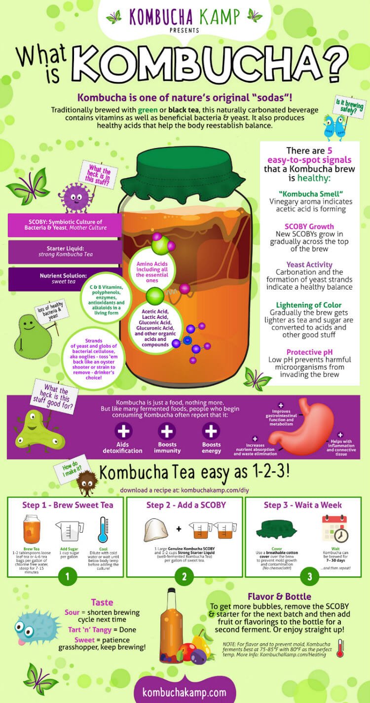 What is Kombucha and How to Make It on 100 Days of Real Food