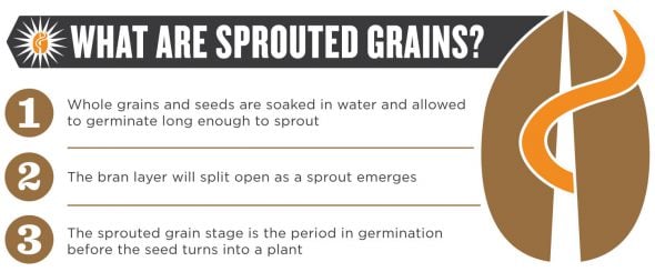 What are Sprouted Grains? on 100 Days of Real Food