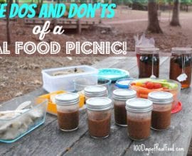 The Dos and Donts of a Real Food Picnic on 100 Days of Real Food