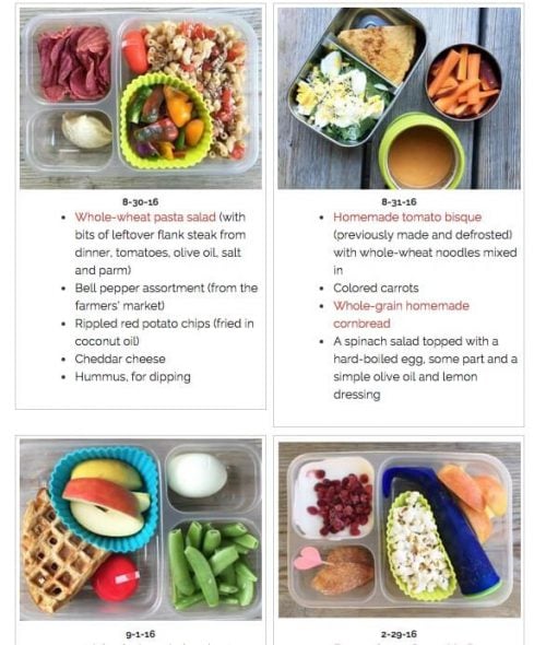Top Posts of 2016 - School Lunch Ideas on 100 Days of Real Food