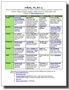 Top Posts of 2016 - Free Meal Plans on 100 Days of Real Food