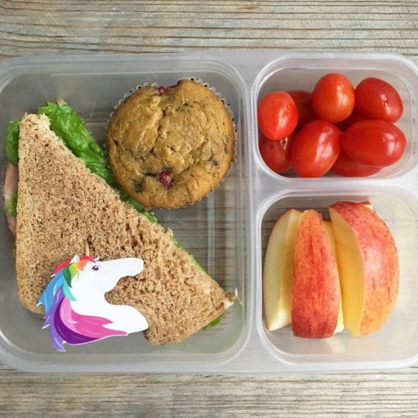 packed school lunch