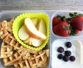 healthy school lunch idea
