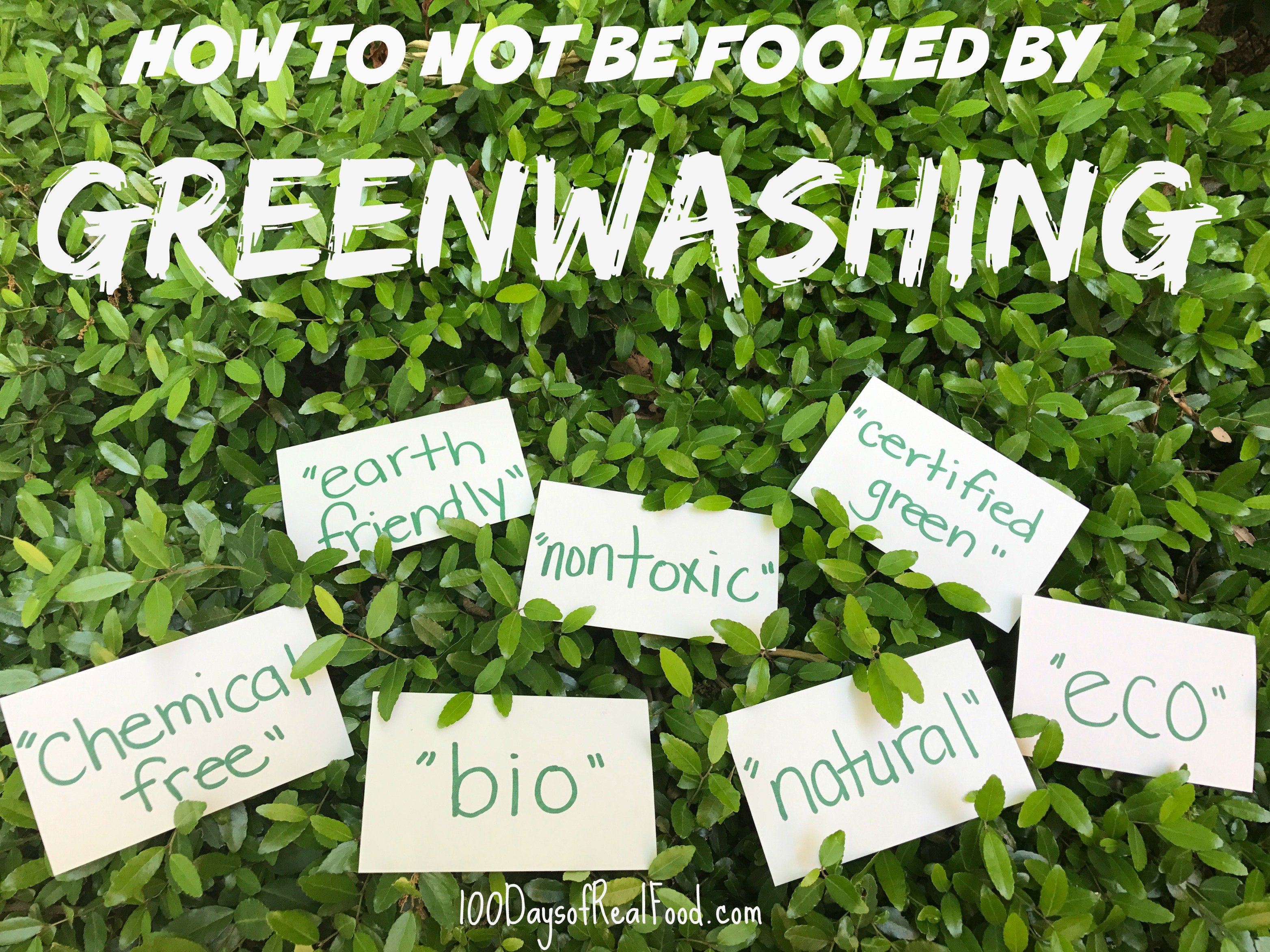 Greenwashing: Don't Be Fooled