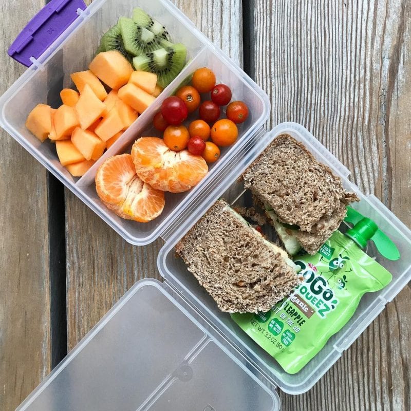 packed school lunch ideas packed school lunch ideas