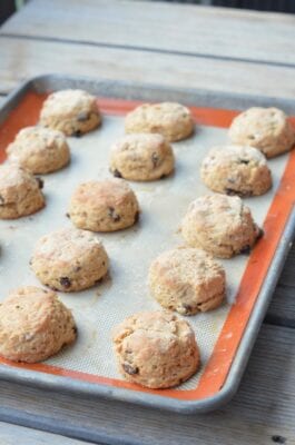 Cinnamon Raisin Yogurt Biscuits recipe for a 