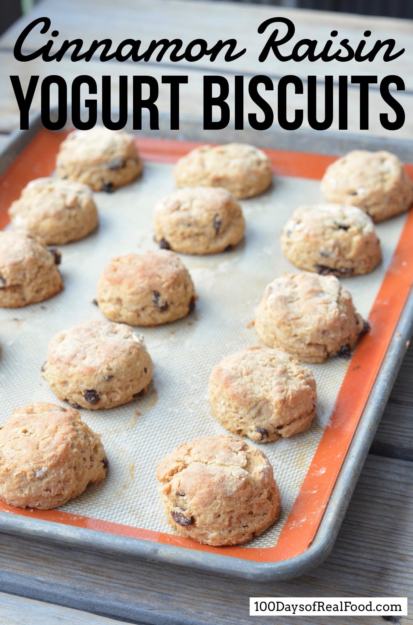 Cinnamon Raisin Yogurt Biscuits (+ our weekday morning struggles) ⋆ 100  Days of Real Food