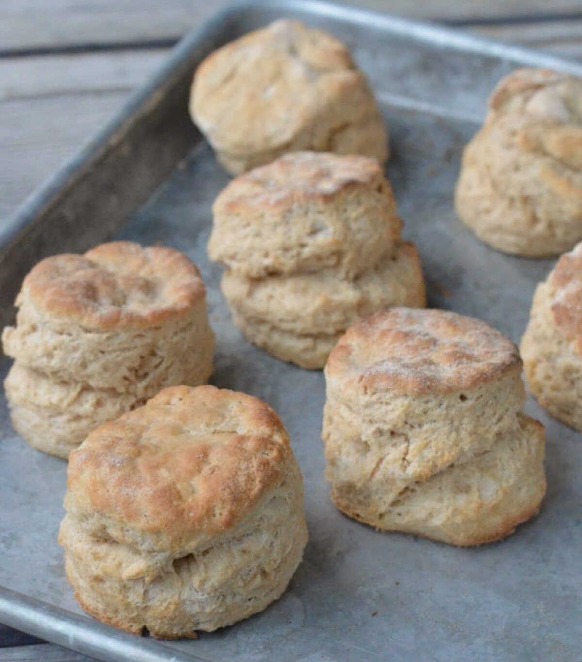 The fluffiest whole wheat biscuits on 100 days of real food