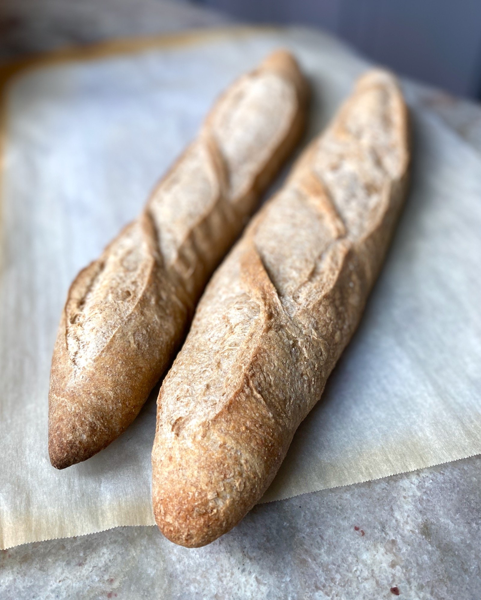 Two whole-wheat baguettes on a counter.