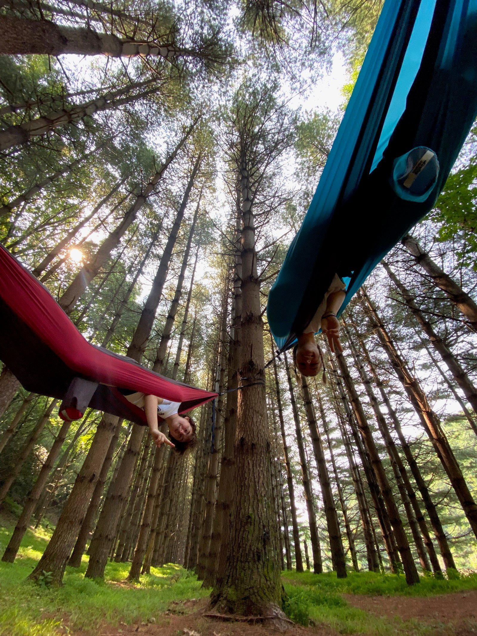 Two teenagers hanging out in hammocks tied to trees in the wilderness in North Carolina.