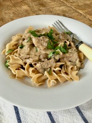 Beef Stroganoff on a plate