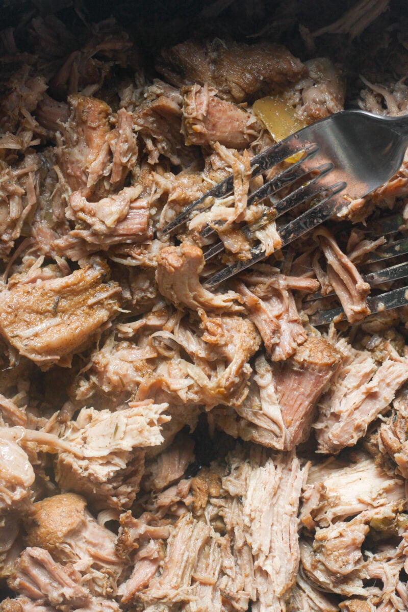 Shredded pork with fork.