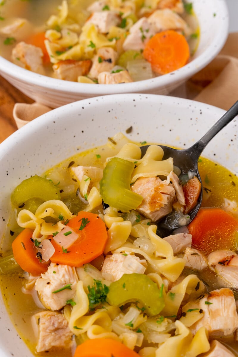 Spoon with chicken noodle soup.