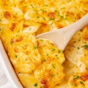 Scalloped potatoes.