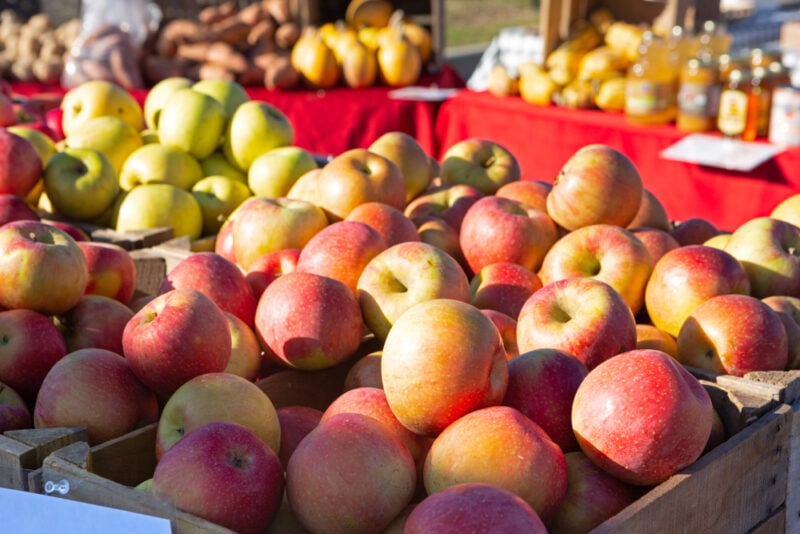 EverCrisp apples.