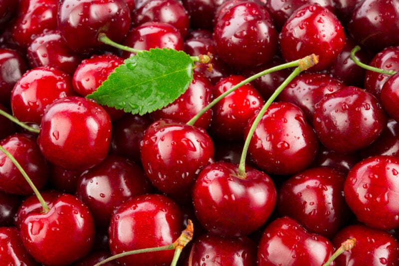Cherry season.