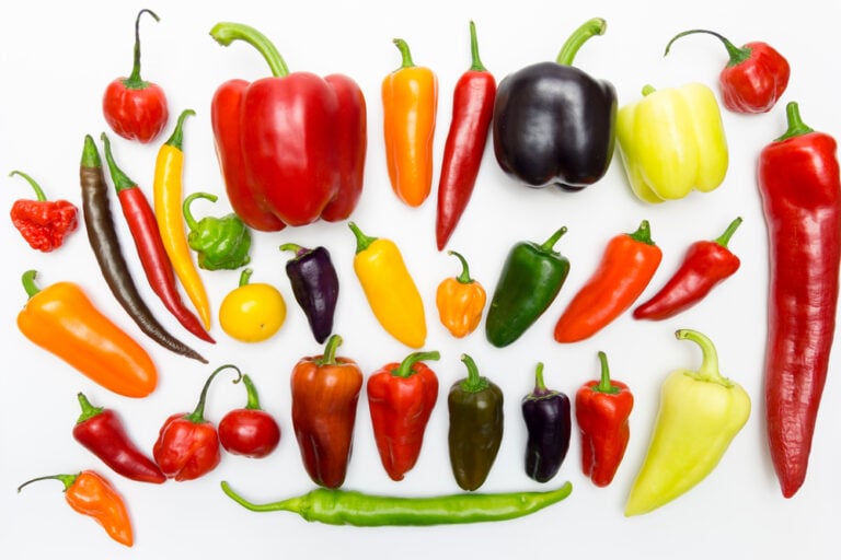 Types of Peppers ⋆ 100 Days of Real Food