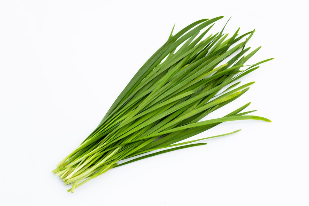 Types of Herbs and How to Use Them ⋆ 100 Days of Real Food