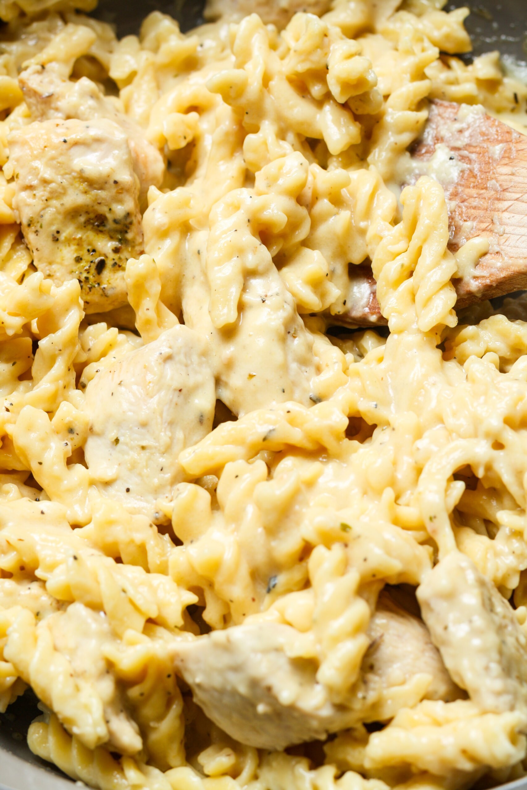 Close up of garlic pasta chicken.
